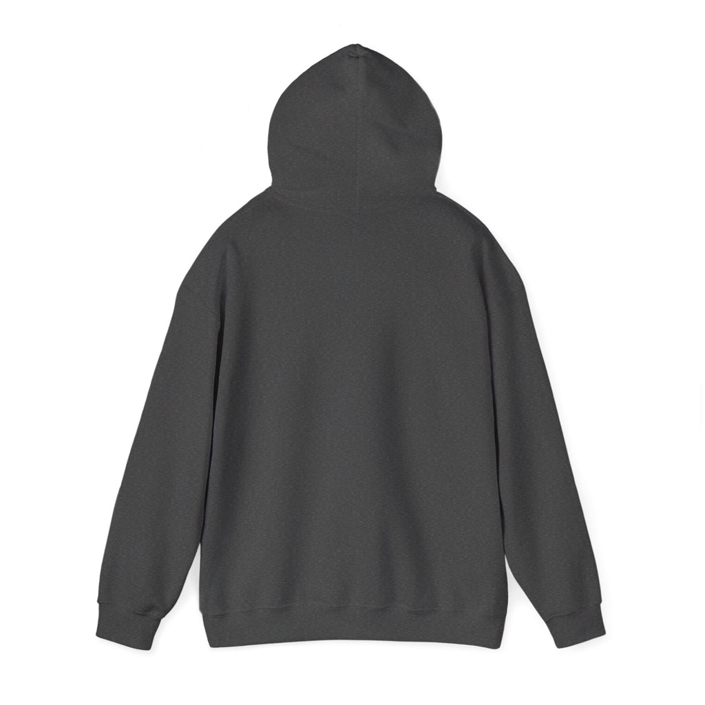Hooded Sweatshirt - Under Influence, Don't Drink and Drive, Alcohol, Double Vision