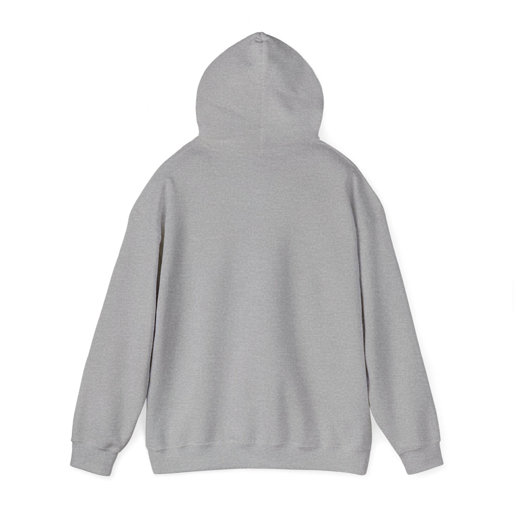 Hooded Sweatshirt Vin Diesel BMW Fan