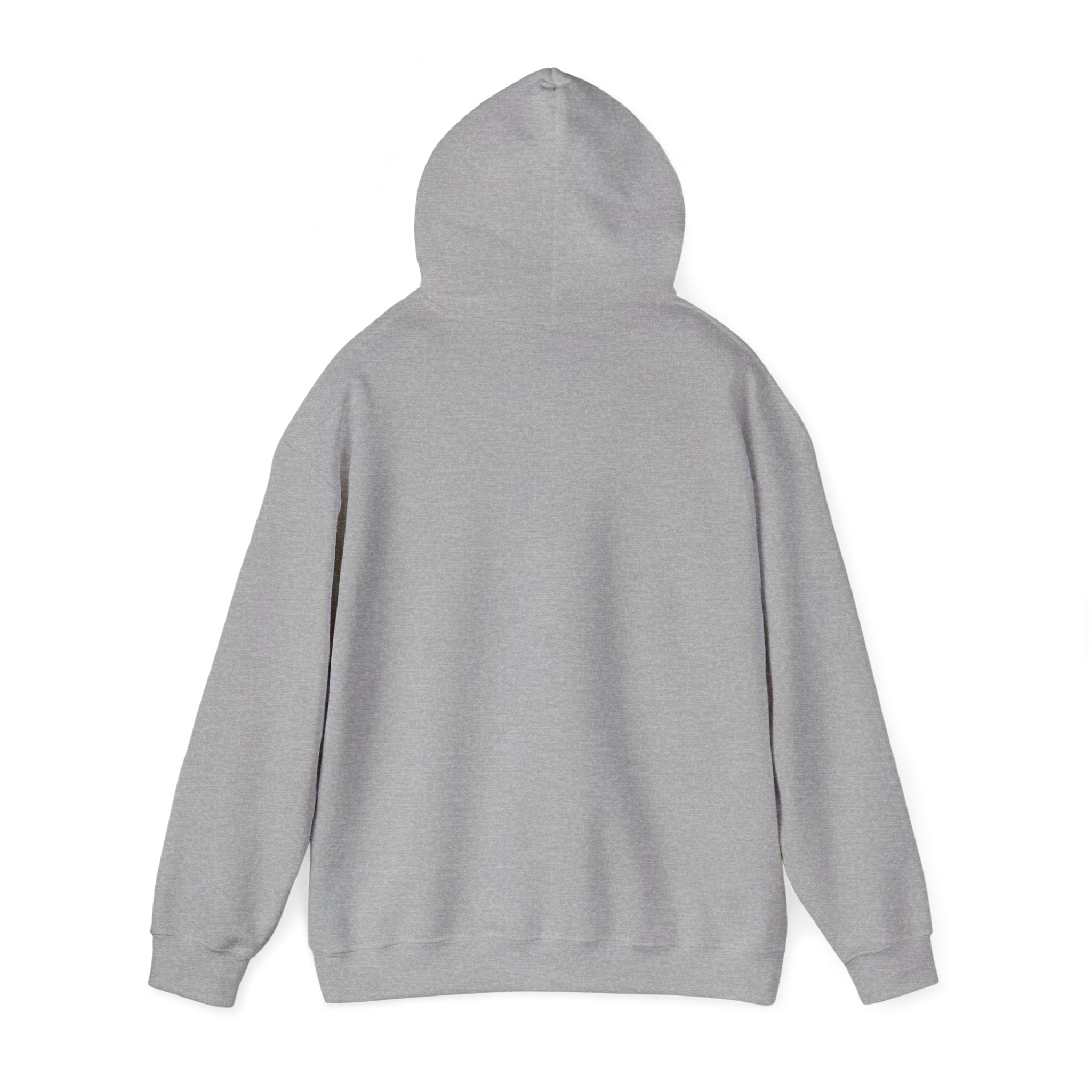 Stylish Unisex Hooded Sweatshirt, Cozy Fashion Hoodie, Gift for Him/Her, Casual Everyday Wear, Graphic Sweatshirt for Teens