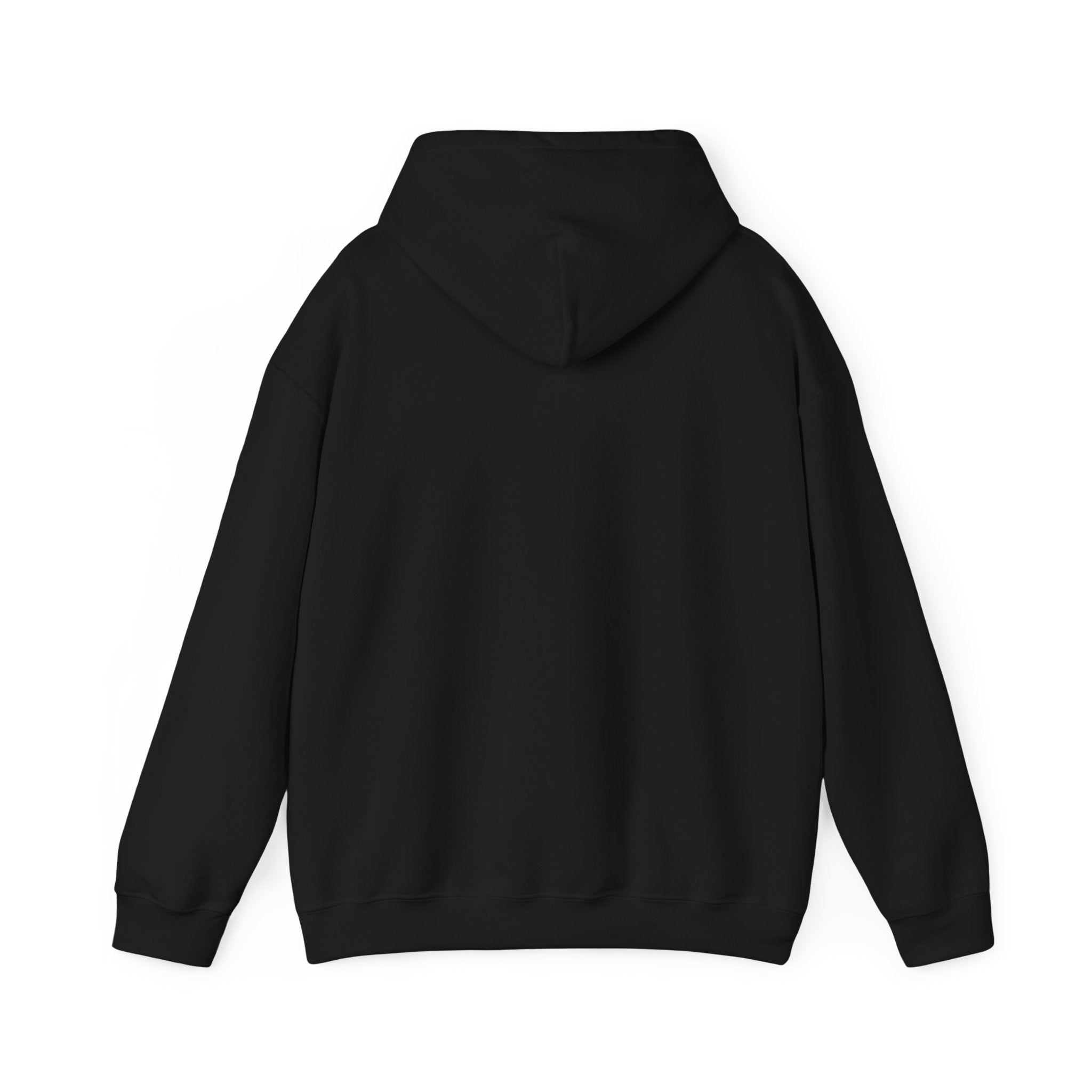Stylish Unisex Hooded Sweatshirt, Cozy Fashion Hoodie, Gift for Him/Her, Casual Everyday Wear, Graphic Sweatshirt for Teens