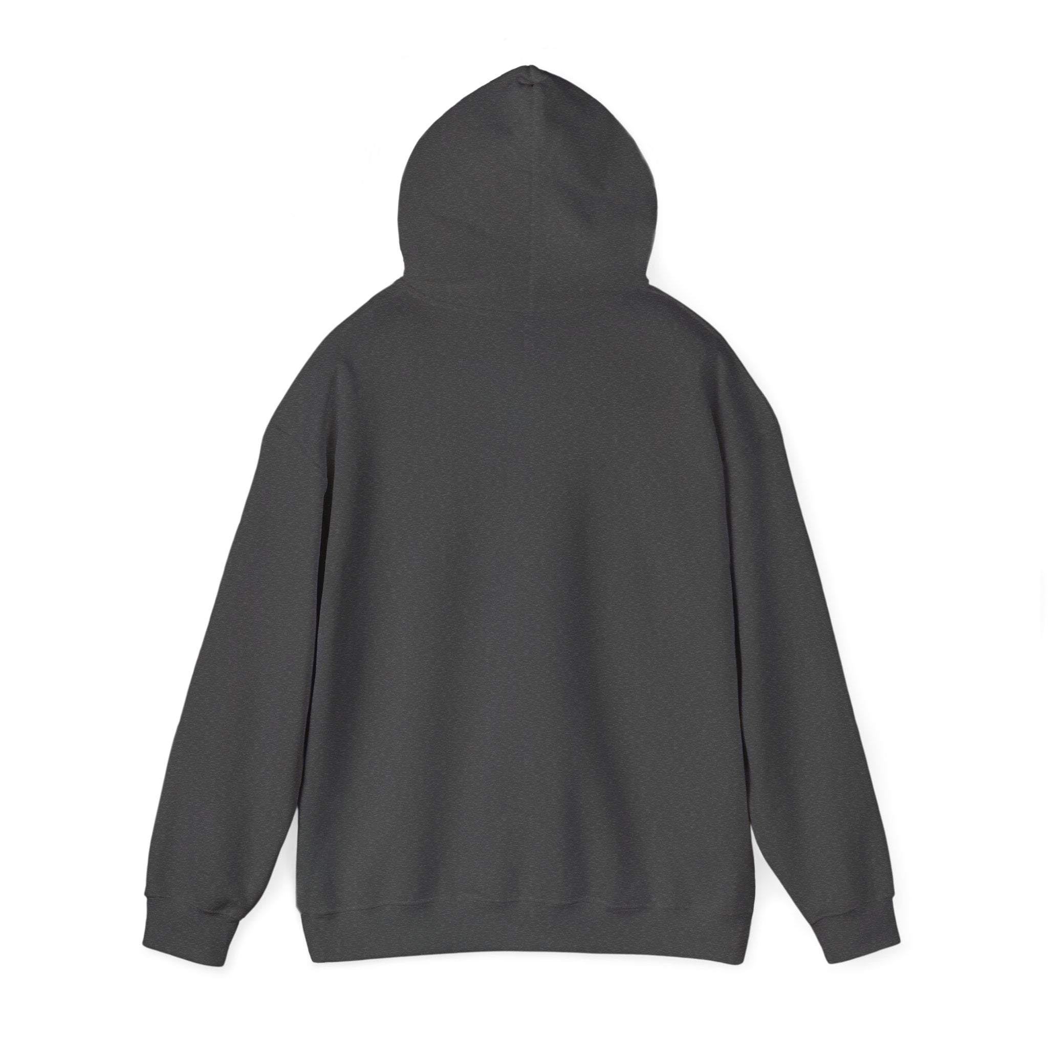 Stylish Unisex Hooded Sweatshirt, Cozy Fashion Hoodie, Gift for Him/Her, Casual Everyday Wear, Graphic Sweatshirt for Teens