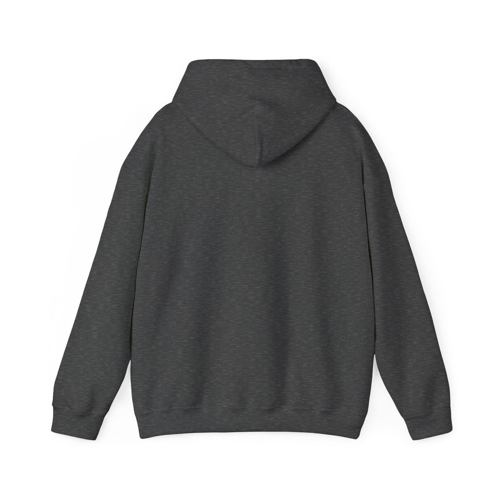 Hooded Sweatshirt - Bmw Check Engine Meme Design